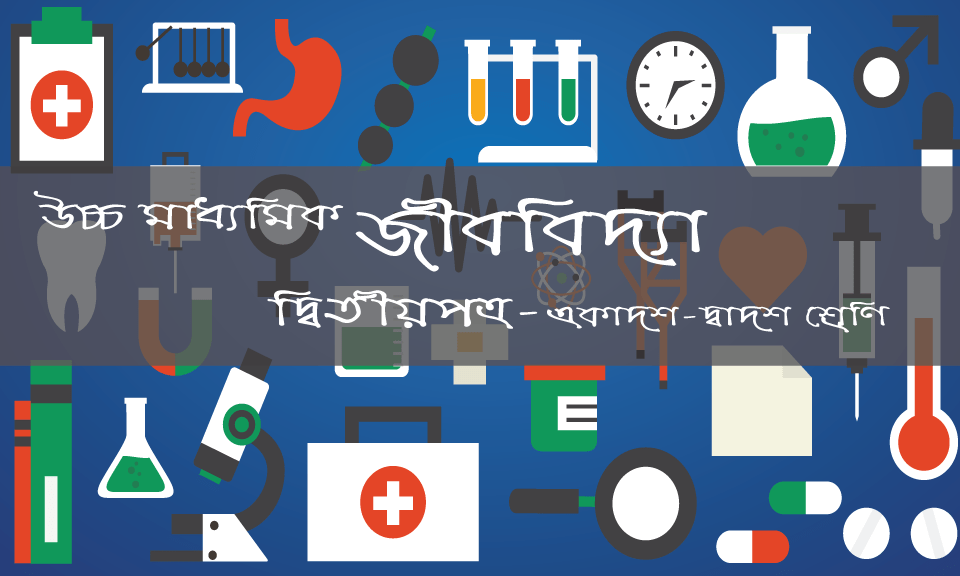 ক্রোমোজোম থেকে পানি হ্রাস পেতে থাকে মাইটোসিস কোষ বিভাজনের কোন ধাপে? মেটাফেজ এনাফেজ প্রোফেজ টেলোফেজ