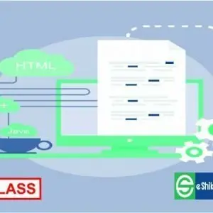 Java(Live Course)
