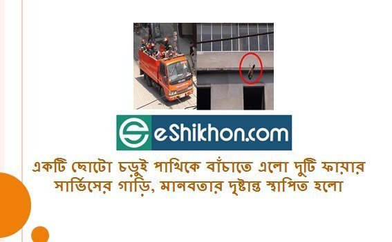 একটি ছোটো চড়ুই পাখিকে বাঁচাতে এলো দুটি ফায়ার সার্ভিসের গাড়ি, মানবতার দৃষ্টান্ত স্থাপিত হলো