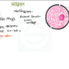 HSC Biology 1st Paper (Download Link) - Image 2