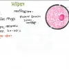 HSC Biology 1st Paper (Download Link) - Image 2