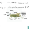 HSC Biology 2nd Paper (Download Link) - Image 2
