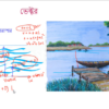 HSC Physics 1st Paper (Download Link) - Image 3