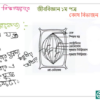 HSC Biology 1st Paper (Download Link) - Image 3