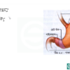 HSC Biology 2nd Paper (Download Link) - Image 5
