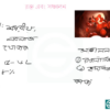 HSC Biology 2nd Paper (Download Link) - Image 6