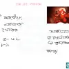 HSC Biology 2nd Paper (Download Link) - Image 6