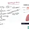 HSC Biology 2nd Paper (Download Link) - Image 7