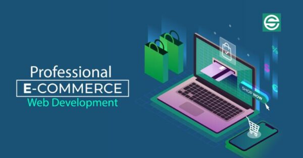 Complete Ecommerce Business Development (Video Course)