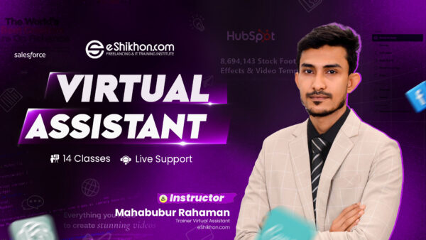 Virtual Assistant Live Course